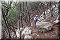 PC249391.JPG