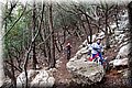 PC249392.JPG