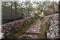 PC269414.JPG