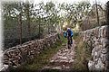 PC269416.JPG
