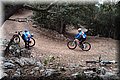 PC269434.JPG