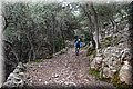 PC269447.JPG