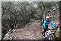 PC269448.JPG