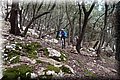 PC269457.JPG
