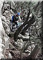 2014_01110086.JPG