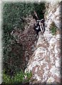 2014_01110095.JPG