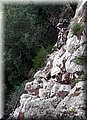 2014_01110096.JPG