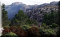 2014_01110112.JPG