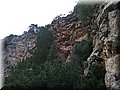 2014_01110120.JPG