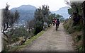 2014_01110156.JPG