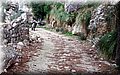 2014_01110159.JPG