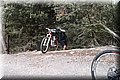 P1110006.JPG