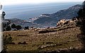 P1110016.JPG