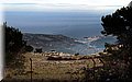 P1110017.JPG