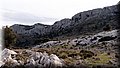 P1110018.JPG