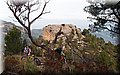 P1110033.JPG