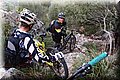 P1110072.JPG