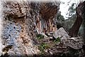 P1110099.JPG