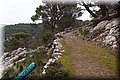 P1110116.JPG