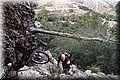 P1119990.JPG