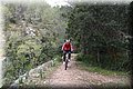 P1210473.JPG