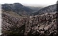 P1210503.JPG