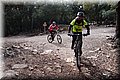 P1210520.JPG