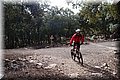 P1210523.JPG