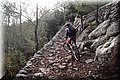 P1250681.JPG