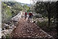 P1250682.JPG
