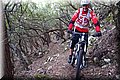 P1250690.JPG
