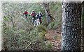 P1250692.JPG