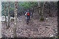 P1250699.JPG