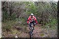 P1250729.JPG