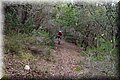 P1250730.JPG
