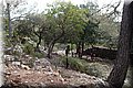P1250732.JPG