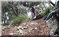 P1250756.JPG