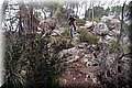 P1250761.JPG