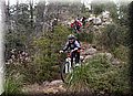 P1250769.JPG