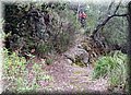 P1250780.JPG