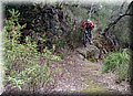 P1250781.JPG