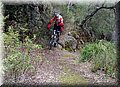 P1250782.JPG