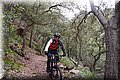 P1250790.JPG