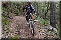 P1250792.JPG