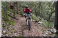 P1250794.JPG