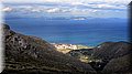 IMG_7940 (Large).JPG
