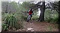 IMG_7944 (Large).JPG