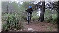 IMG_7945 (Large).JPG