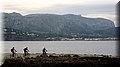 IMG_7967 (Large).JPG