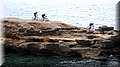 IMG_7969 (Large).JPG